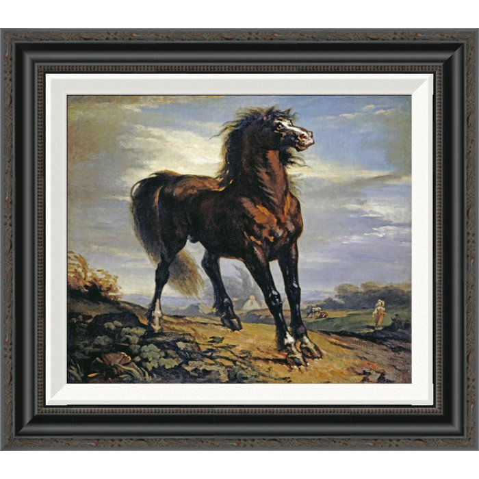 millets equestrian